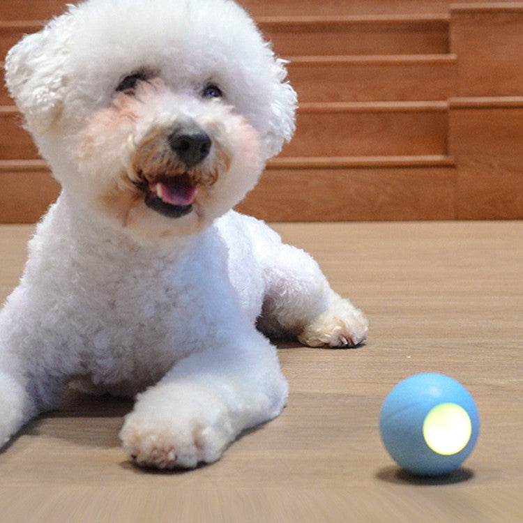 Interactive Cat Toy for Active Play and Mental Stimulation-3