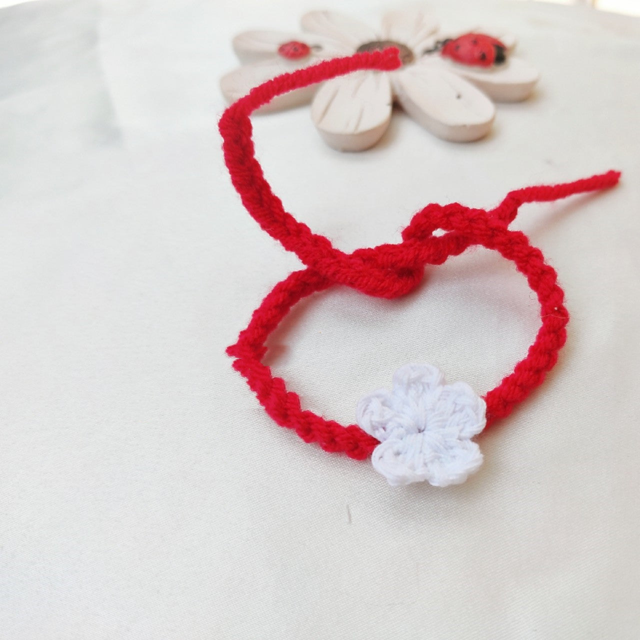 Newborn Dog and Cat Collar-8